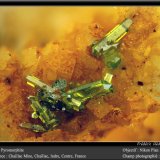Pyromorphite
fov 1,8 mm
(Autor: ploum)
