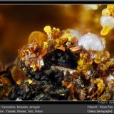 Cacoxenite, Beraunite, Strengite
fov 1.8 mm
(Autor: ploum)