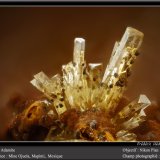Adamite
fov 1,8 mm
(Autor: ploum)