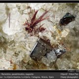 Warwickite, Pseudobrookite and Magnetite
(Autor: ploum)