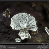 Phillipsite
fov 1.8 mm
(Autor: ploum)