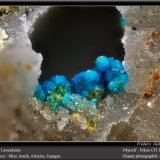 Lavendulan
fov 1.8 mm
(Autor: ploum)