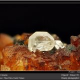 Cerussite
fov 4,5 mm
(Autor: ploum)