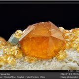 Spessartine
fov 9 mm
(Autor: ploum)