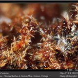 Carminite
fov 0.9 mm
(Autor: ploum)