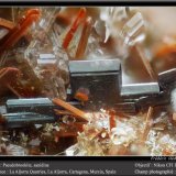 Pseudobrookite, Sanidine
fov 1.8 mm
(Autor: ploum)