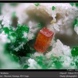Wulfenite
fov 1.8 mm
(Autor: ploum)