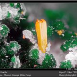 Kasolite
fov 1.8 mm
(Autor: ploum)