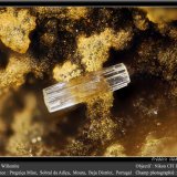Willemite
fov 1.8 mm
(Autor: ploum)