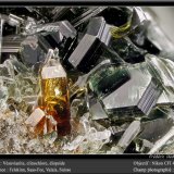 Vesuvianite
fov 4.5 mm
(Autor: ploum)