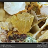 Mimetite and Cerussite
fov 4.5 mm
(Autor: ploum)