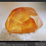 Spessartine
fov 4.5 mm
(Autor: ploum)