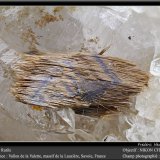 Rutile
fov 4.5 mm
(Autor: ploum)