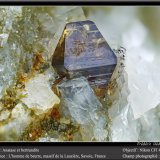 Anatase, Bertrandite
fov 4.5 mm
(Autor: ploum)