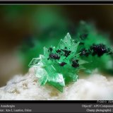 Annabergite
fov 3 mm
(Autor: ploum)