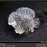 Phillipsite (Series)
fov 1.8 mm
(Autor: ploum)