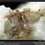 Allanite-(Ce) on Dolomite
fov 3.5 mm
(Autor: ploum)