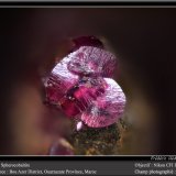 Spherocobaltite
fov 1.8 mm
(Autor: ploum)