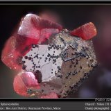 Spherocobaltite
fov 1.8 mm
(Autor: ploum)