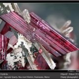 Erythrite with Quartz
fov 4.5 mm
(Autor: ploum)