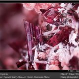 Erythrite
fov 4.5 mm
(Autor: ploum)