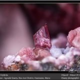 Erythrite
fov 4.5 mm
(Autor: ploum)