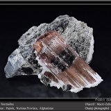 Elbaite (Tourmaline Group)
fov 50 mm
(Autor: ploum)