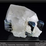 Elbaite (Tourmaline Group)
fov 70 mm
(Autor: ploum)