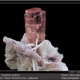 Elbaite (Tourmaline Group)
fov 50 mm
(Autor: ploum)