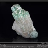 Elbaite (Tourmaline Group)
fov 80 mm
(Autor: ploum)