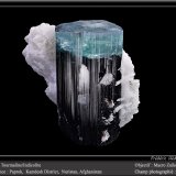 Elbaite var. indicolite (Tourmaline Group)
fov 60 mm
(Autor: ploum)