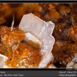 Barite
fov4.5 mm
(Autor: ploum)
