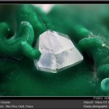 Cerussite on Malachite
fov 1.8 mm
(Autor: ploum)