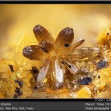 Mimetite
fov 1.8 mm
(Autor: ploum)