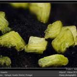Autunite
fov 4.5 mm
(Autor: ploum)