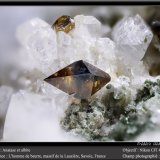 Anatase, albite
fov 4.5 mm
(Autor: ploum)