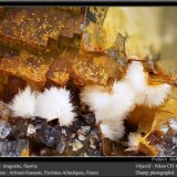 Aragonite, Fluorite
fov 4.5 mm
(Autor: ploum)