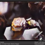 Jarosite
fov 0.9 mm
(Autor: ploum)