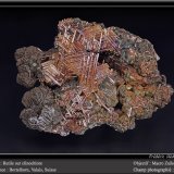 Rutile on clinochlore
fov 50 mm
(Autor: ploum)