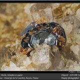 Hematite and Rutile
fov 8mm
(Autor: ploum)
