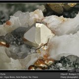Pyrite on Calcite
fov 12 mm
(Autor: ploum)