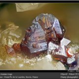 Anatase
fov 1.8 mm
(Autor: ploum)