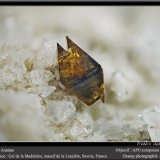 Anatase
fov 3 mm
(Autor: ploum)