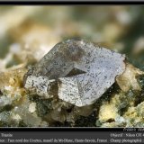 Titanite
fov 4.5 mm
(Autor: ploum)