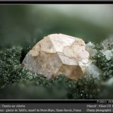 Titanite with Chlorite
fov 1.8 mm
(Autor: ploum)