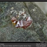 Anatase on Quartz
fov 4.5 mm
(Autor: ploum)