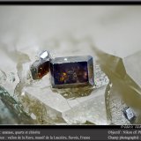 Anatase on Quartz with Chlorite
fov 1.8 mm
(Autor: ploum)