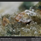 Monazite, Quartz and Chlorite
fov 4.5 mm
(Autor: ploum)