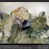 Monazite, Anatase, Quartz and Chlorite
fov 4.5 mm
(Autor: ploum)