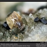 Monazite, Anatase, Quartz and Chlorite
fov 4.5 mm
(Autor: ploum)